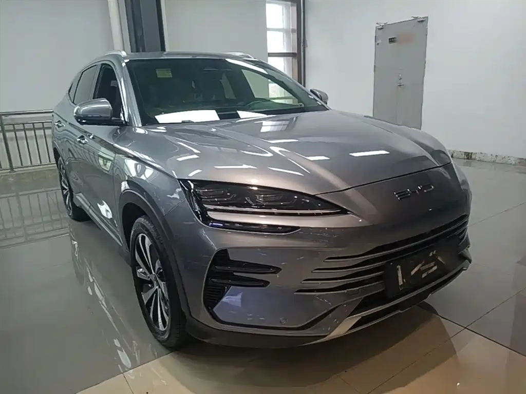 BYD PLUS New Energy 2024 — фото 4