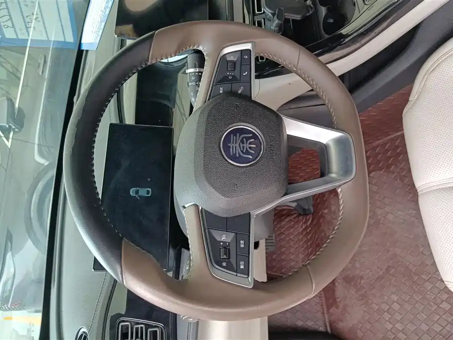 BYD Qin PLUS 2024 — фото 15