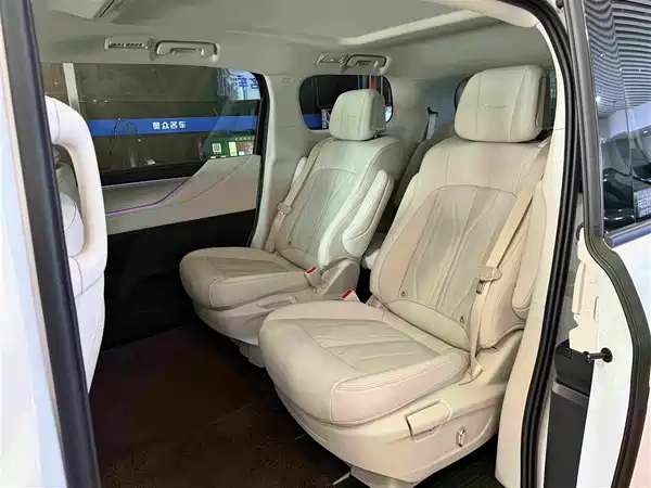 Buick GL8 New Energy 2024