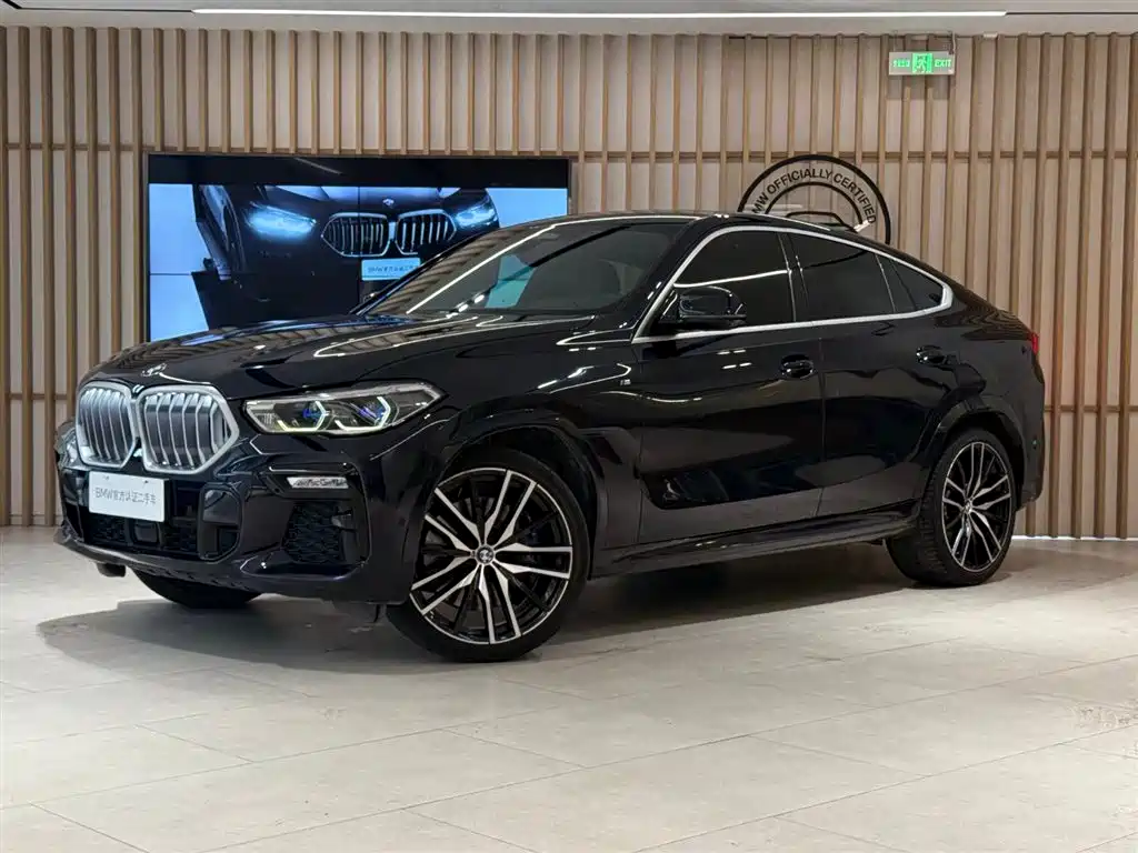 BMW X6 2019