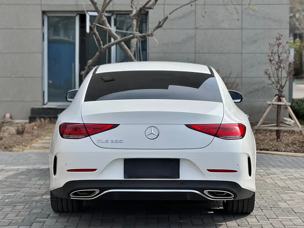 Mercedes-Benz CLS 2019 — фото 18