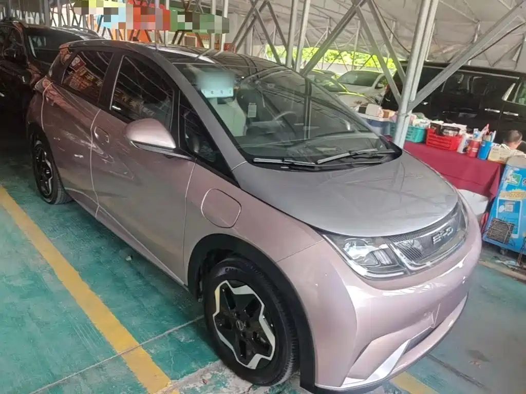 BYD Dolphin 2022