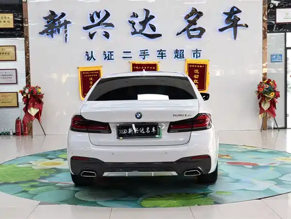 BMW 5 Series New Energy 2022