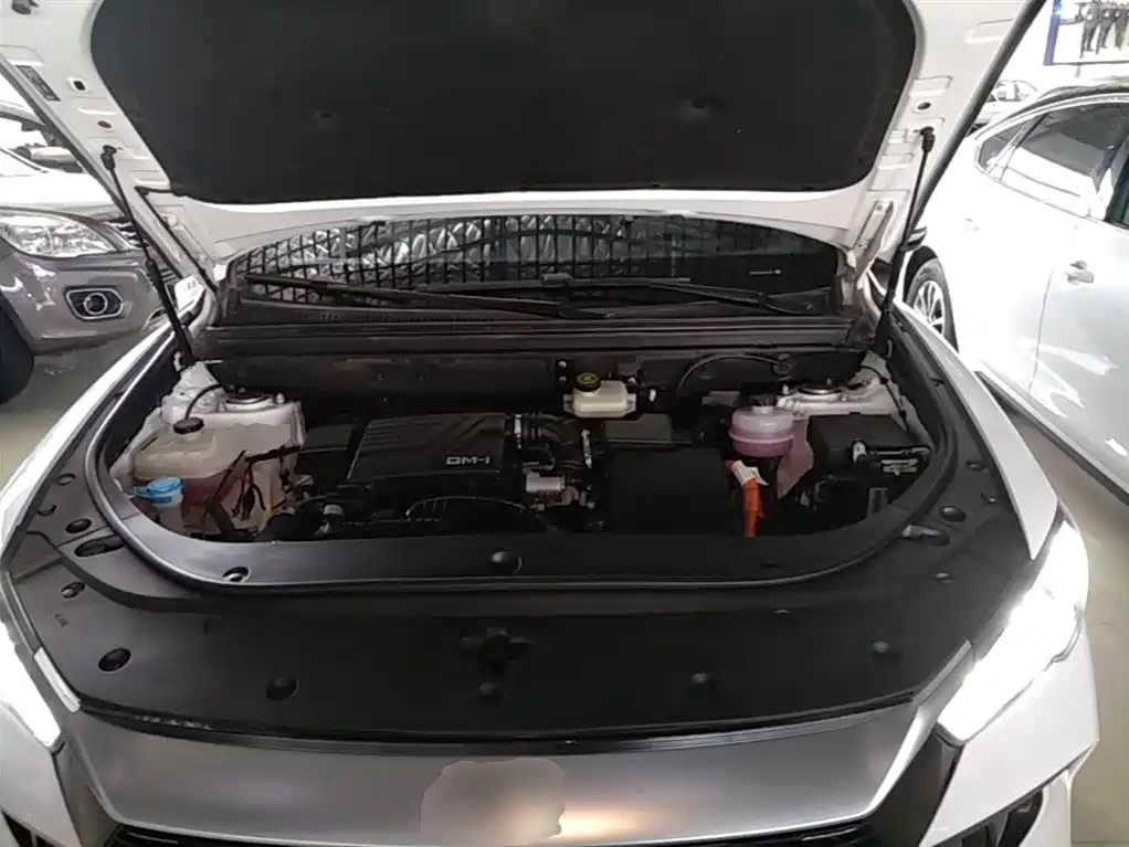 BYD Pro New Energy 2023 — фото 20