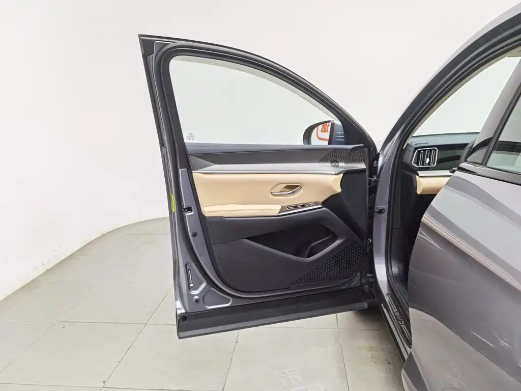 BYD Song Pro New Energy 2025 — фото 8
