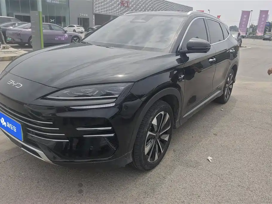 BYD PLUS New Energy 2025 — фото 1