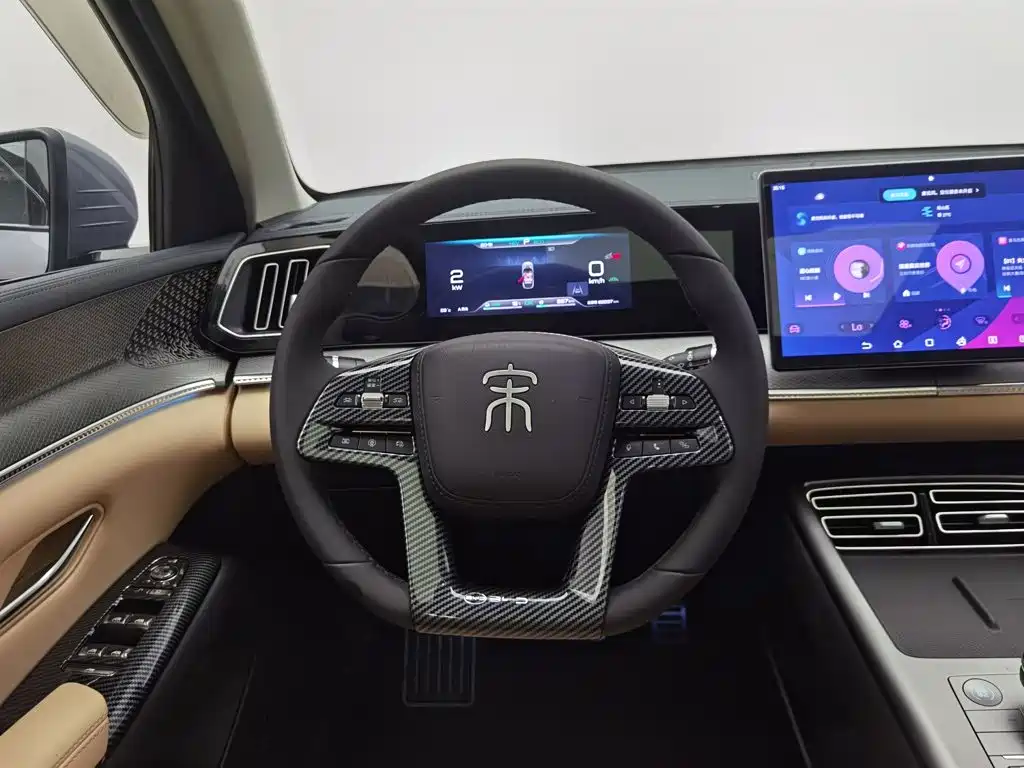 BYD Song Pro New Energy 2025 — фото 11