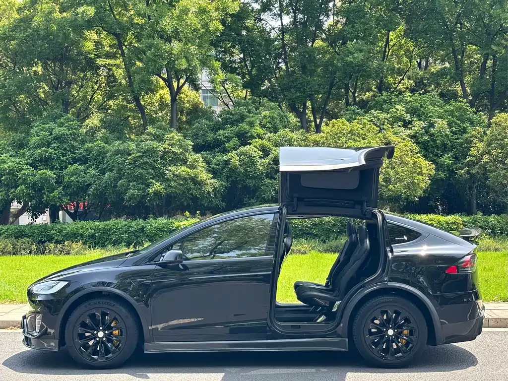 Tesla Model X 2017 — фото 5
