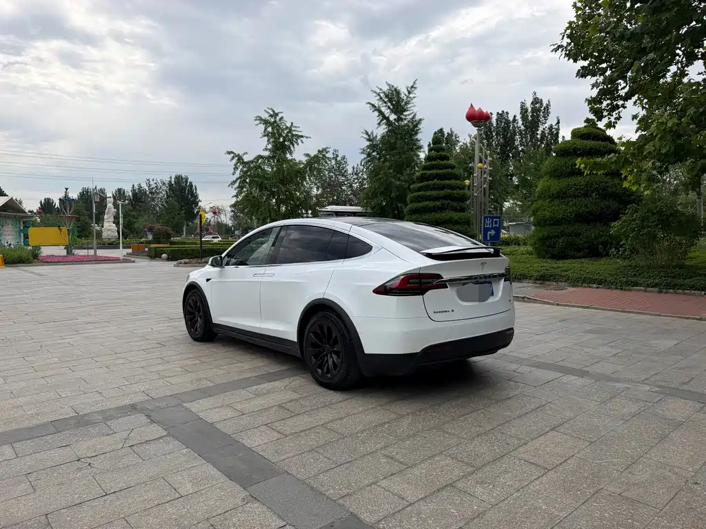 Tesla Model X 2016 — фото 4