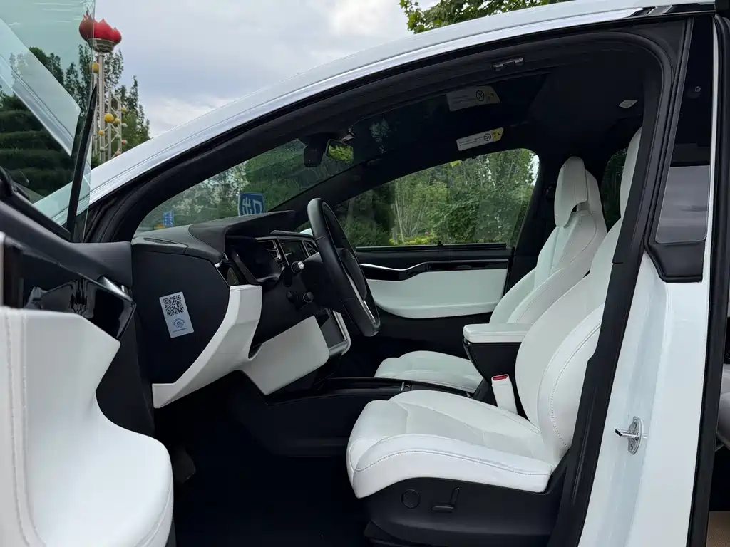 Tesla Model X 2016 — фото 18