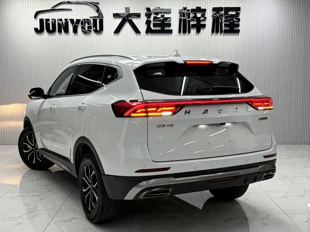 Haval H6 2024 — фото 6
