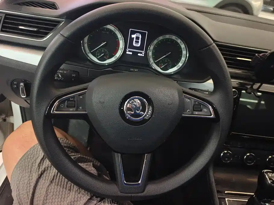 Skoda Speedy 2018 — фото 15