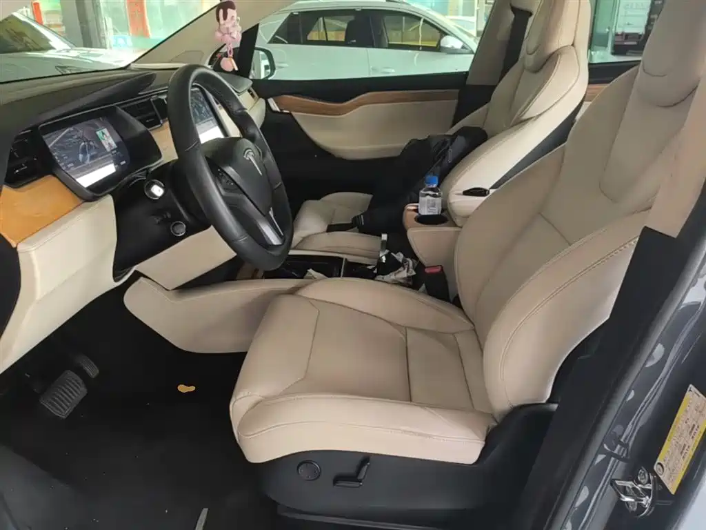 Tesla Model X 2019 — фото 15