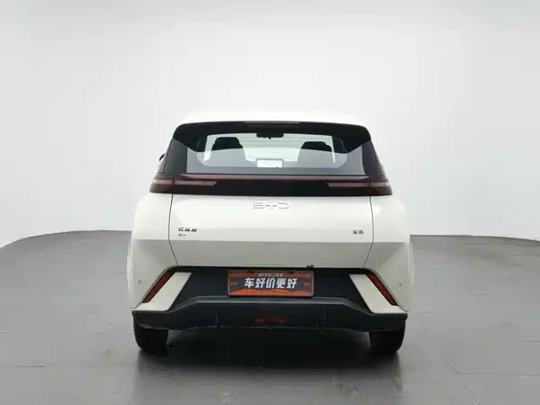 BYD Seagull 2024