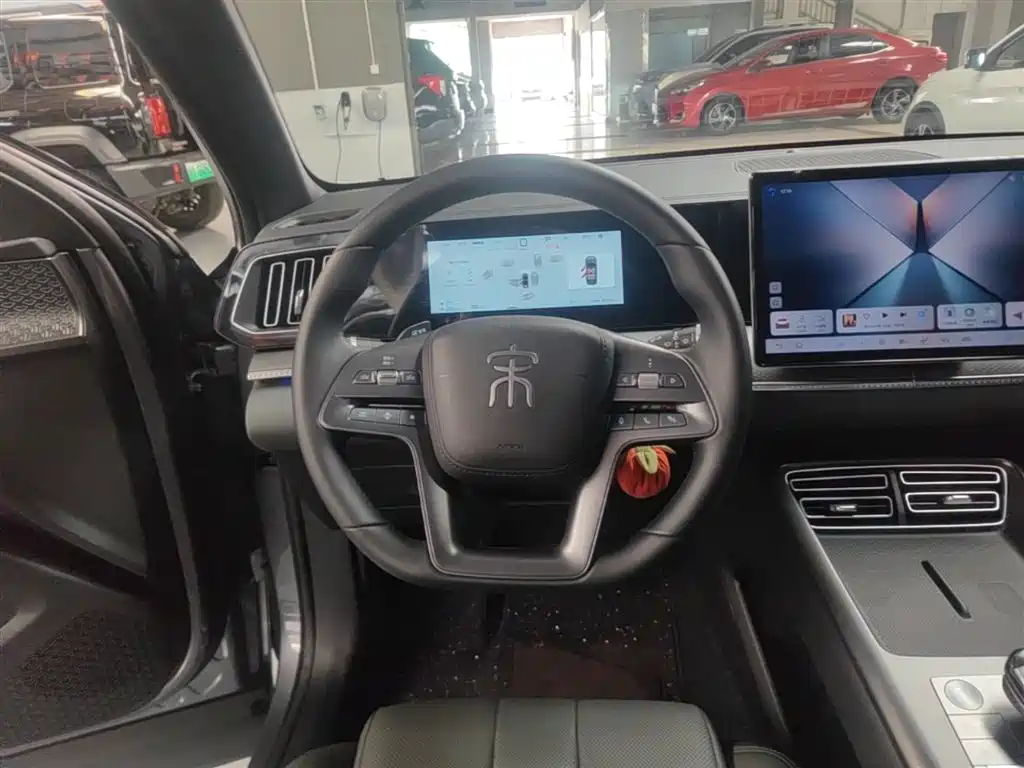 BYD Pro New Energy 2025 — фото 11