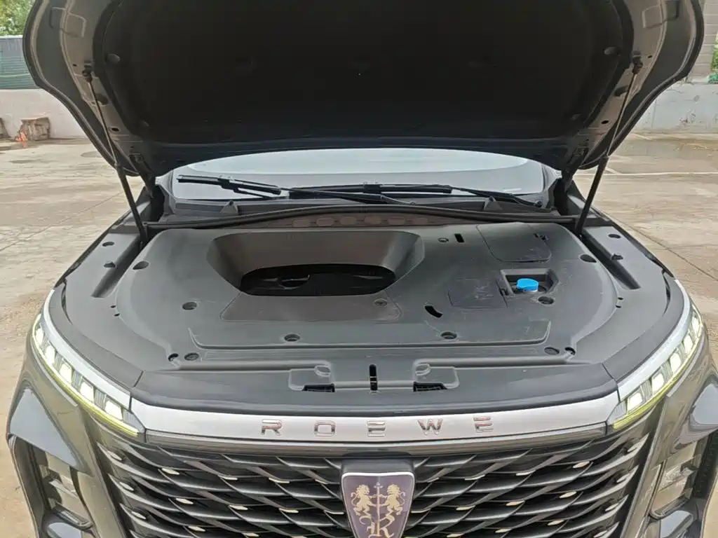 Roewe RX5 MAX 2022 — фото 16