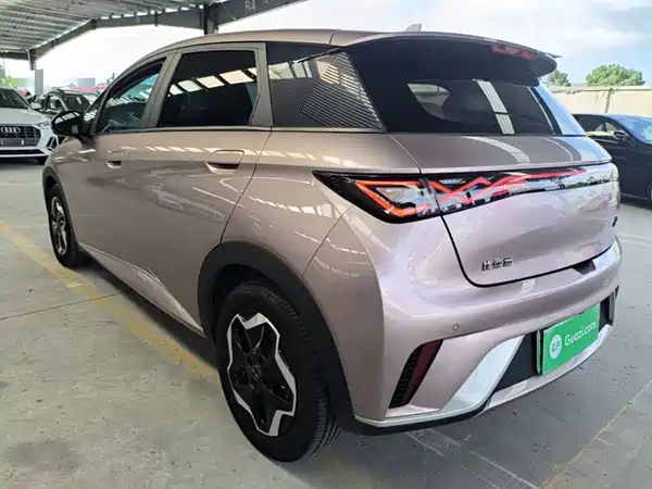 BYD Dolphin 2022