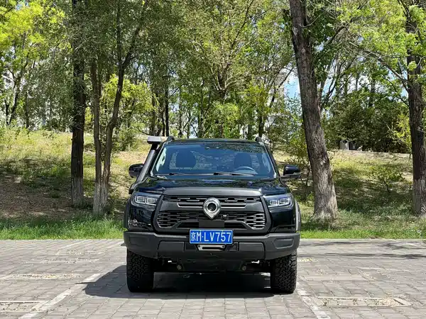 Great Wall Poer 2022