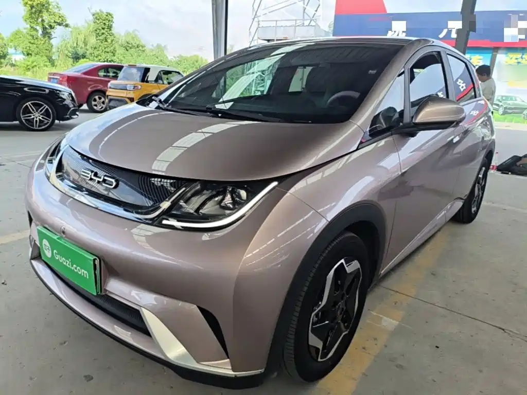 BYD Dolphin 2022
