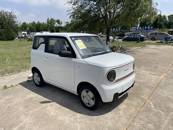 Geely Galaxy Panda 2026