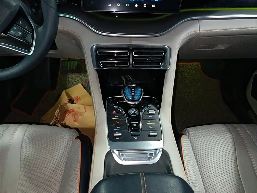BYD PLUS New Energy 2021 — фото 11