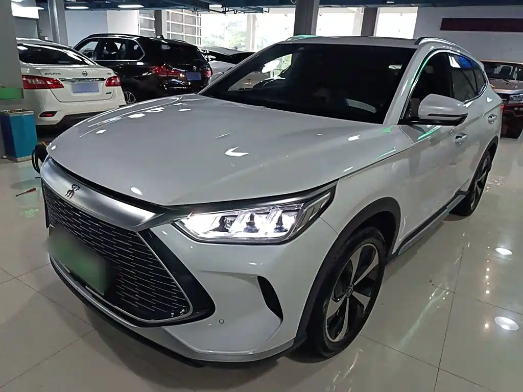 BYD PLUS New Energy 2021 — фото 1