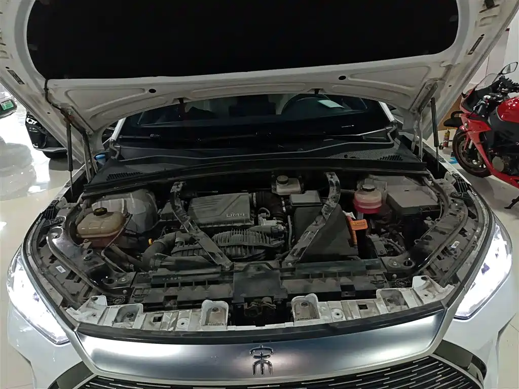 BYD PLUS New Energy 2021 — фото 17