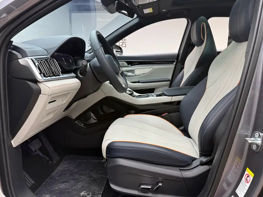 BYD PLUS New Energy 2023 — фото 12