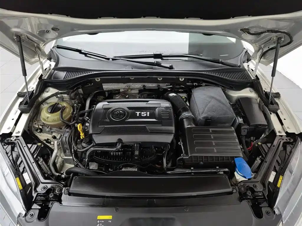 Skoda Speedy 2018