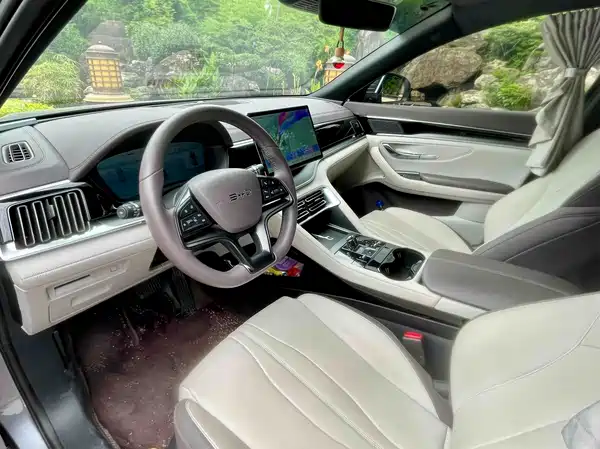 BYD Song PLUS New Energy 2024