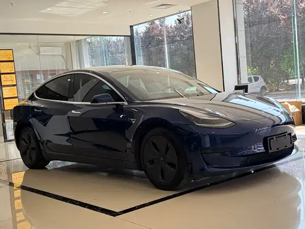 Tesla Model 3 2020