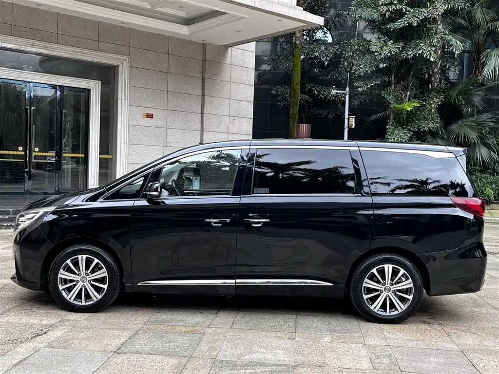 GAC Motor Trumpchi M8 2019 — фото 8