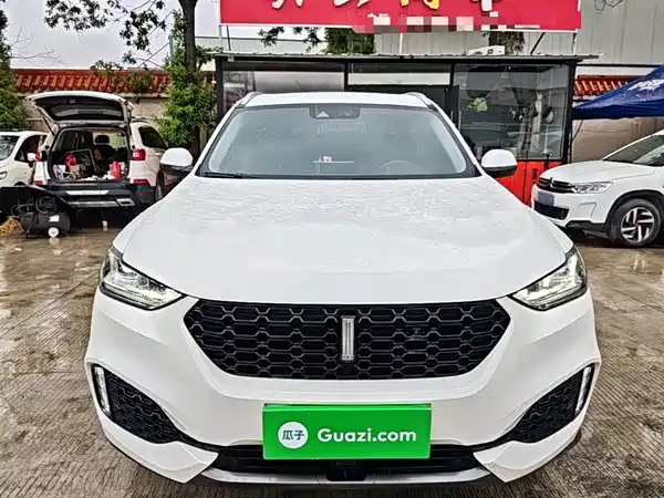 Wey VV6 2018