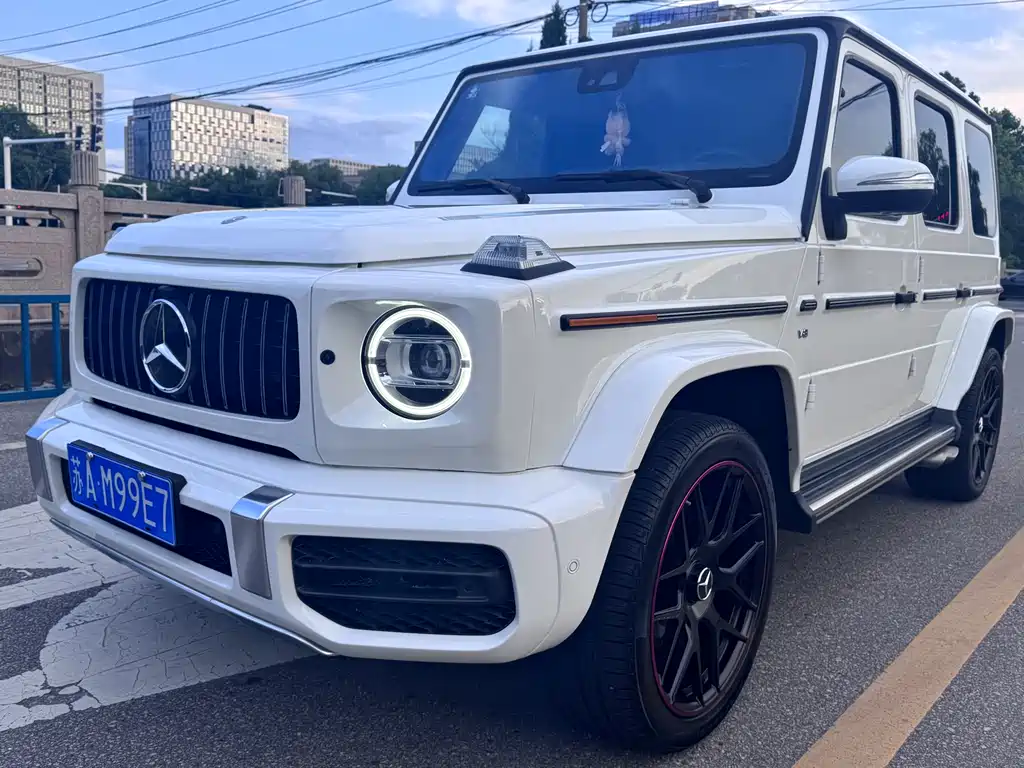 Mercedes-Benz G-Class 2019 — фото 24