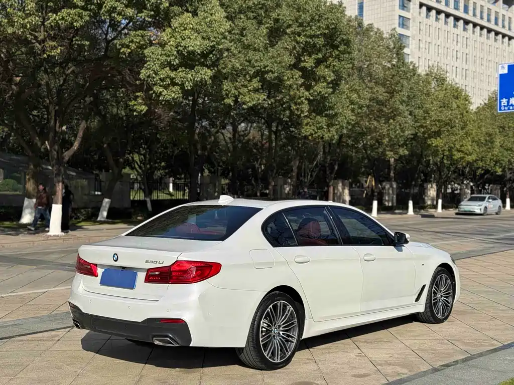 BMW 5 Series 2019 — фото 13