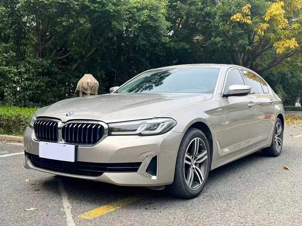 BMW 5 Series 2020 — фото 1