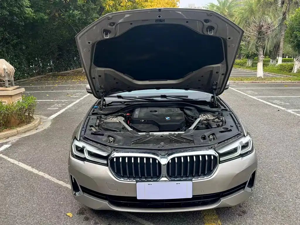 BMW 5 Series 2020 — фото 12