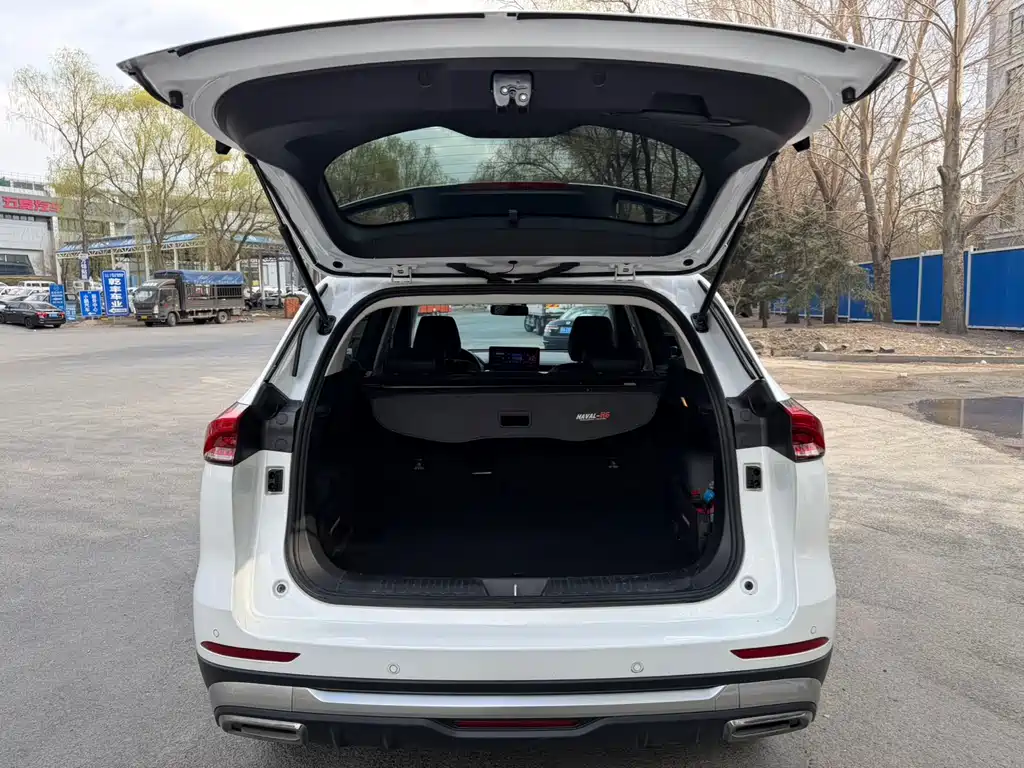 Haval H6 2023 — фото 12