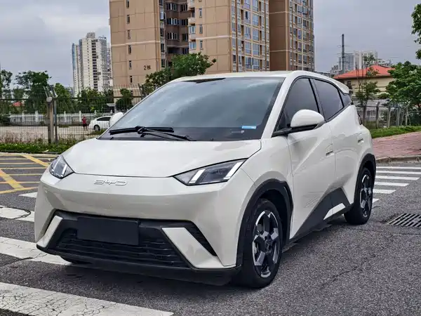 BYD Seagull 2024