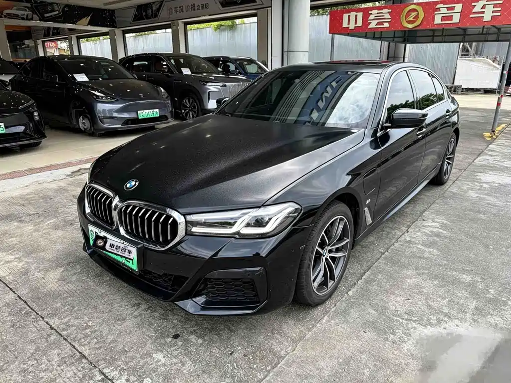 BMW 5 Series New Energy 2021