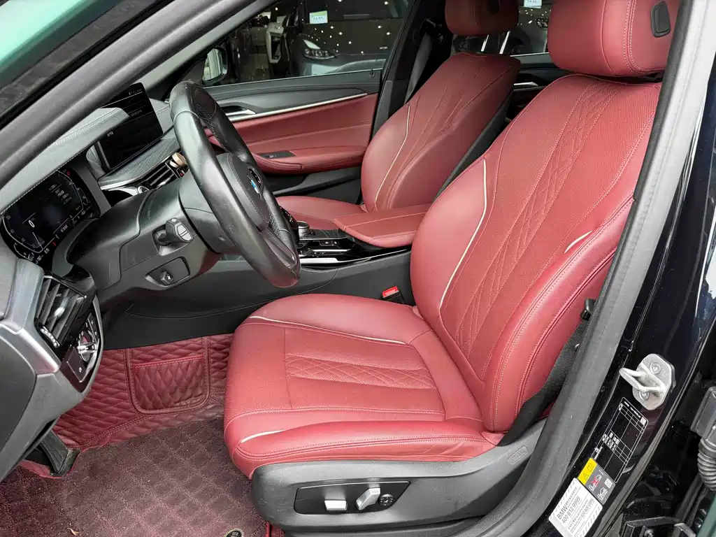BMW 5 Series New Energy 2021