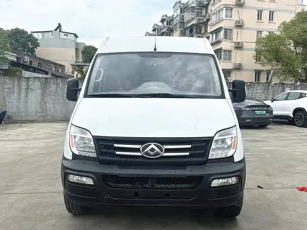 Maxus V80 2019
