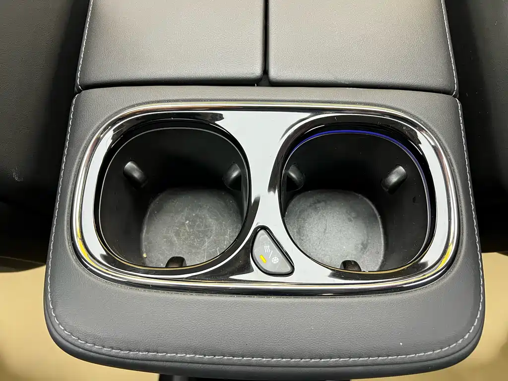 GAC Motor Trumpchi E9 2025 — фото 32