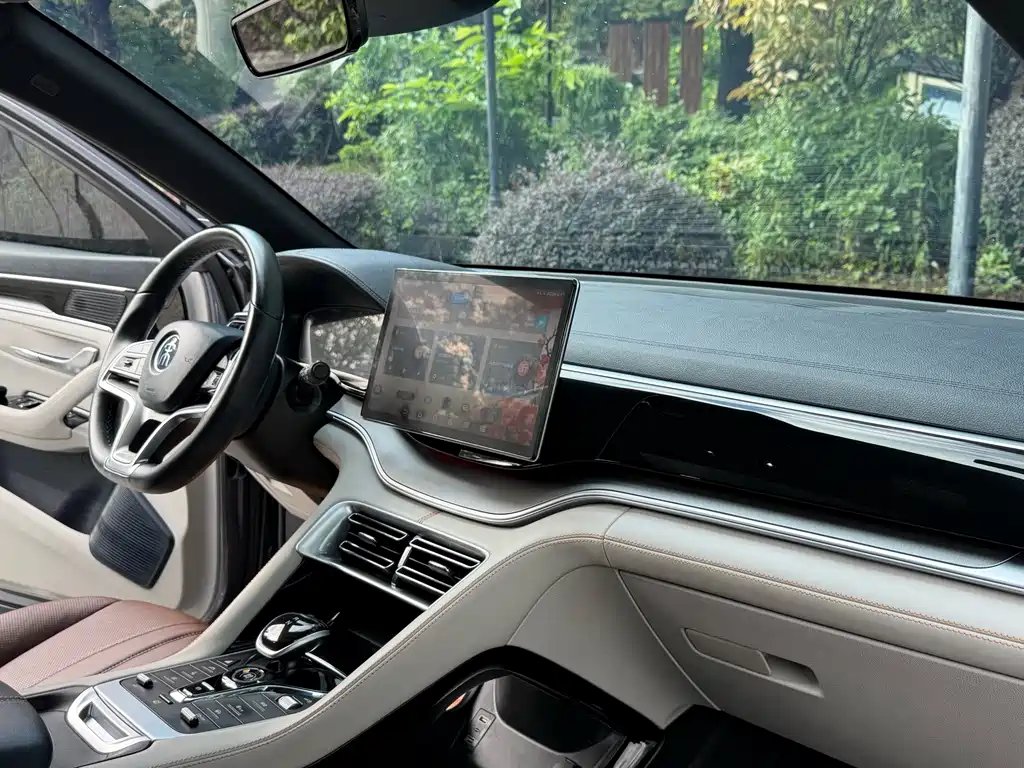 BYD Song PLUS New Energy 2023 — фото 6
