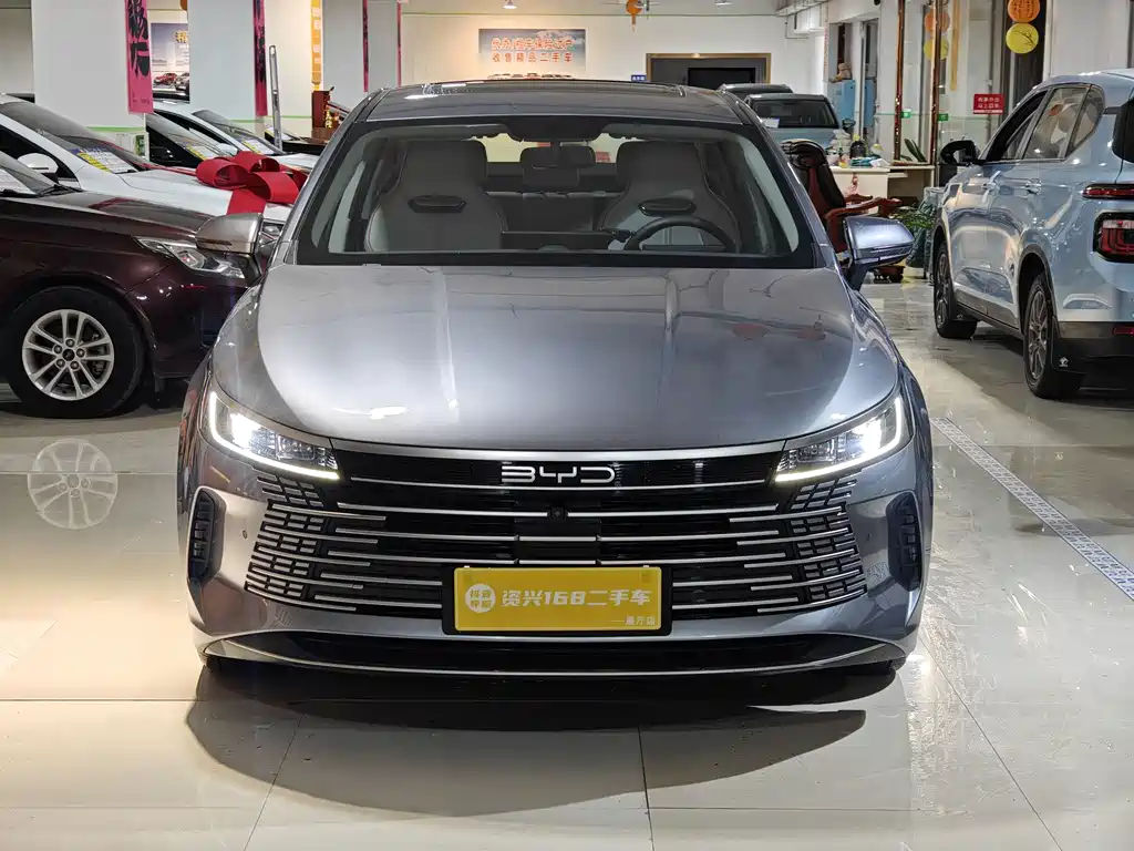 BYD Destroyer 05 2022 — фото 2