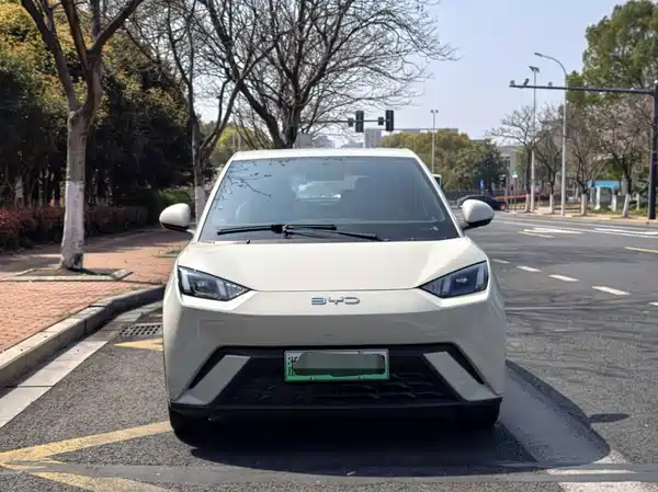 BYD Seagull 2024