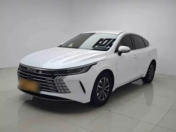 BYD Destroyer 05 2024