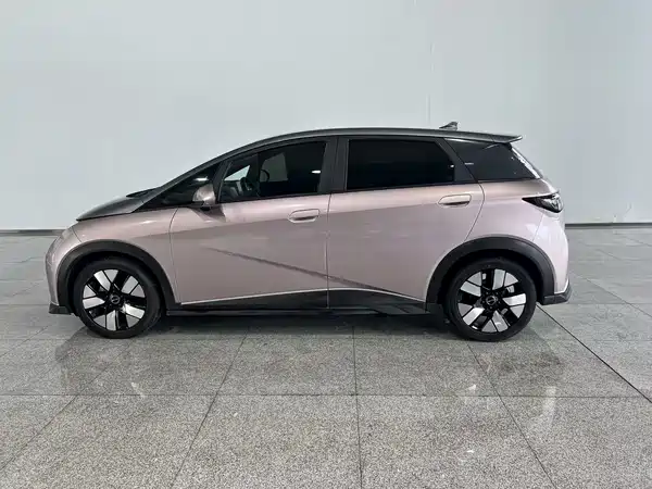 BYD Dolphin 2022
