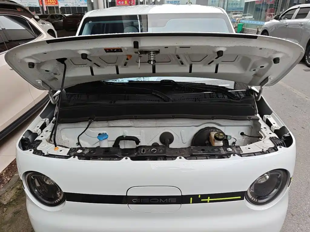 Geely Galaxy Panda 2025 — фото 20