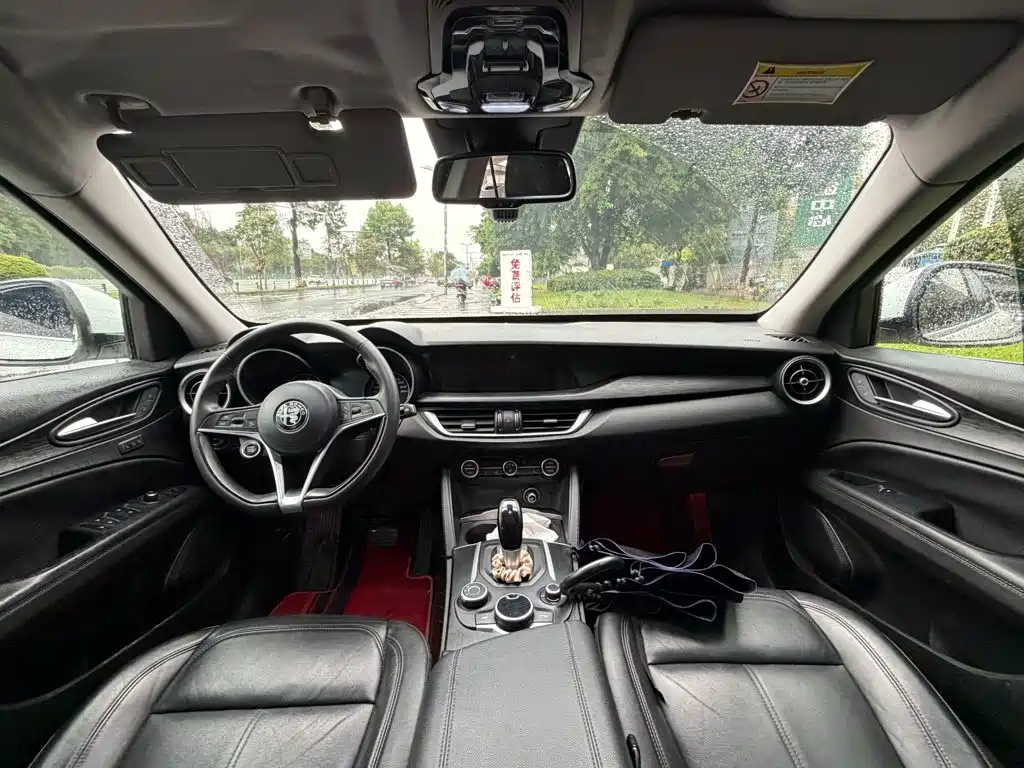 Alfa Romeo Stelvio 2019 — фото 13